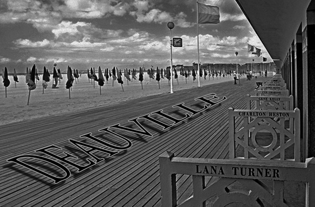 Studio Duplex L'Ecole Buissonniere Trouville-la-Haule Luaran gambar